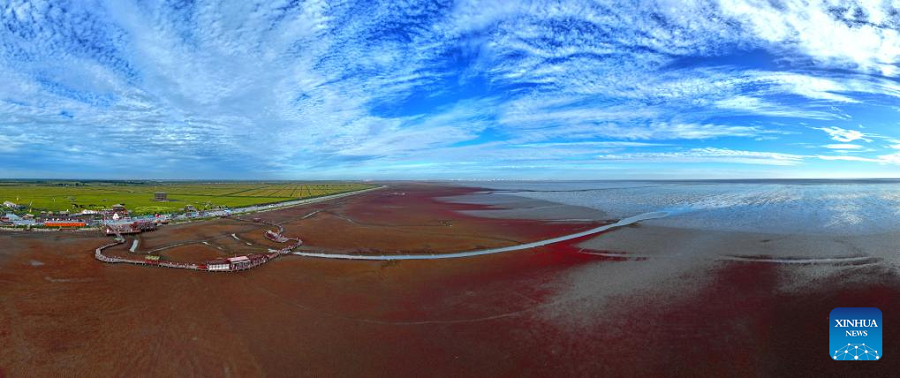 View of Red Beach scenic area in China's Liaoning