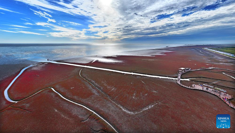 View of Red Beach scenic area in China's Liaoning