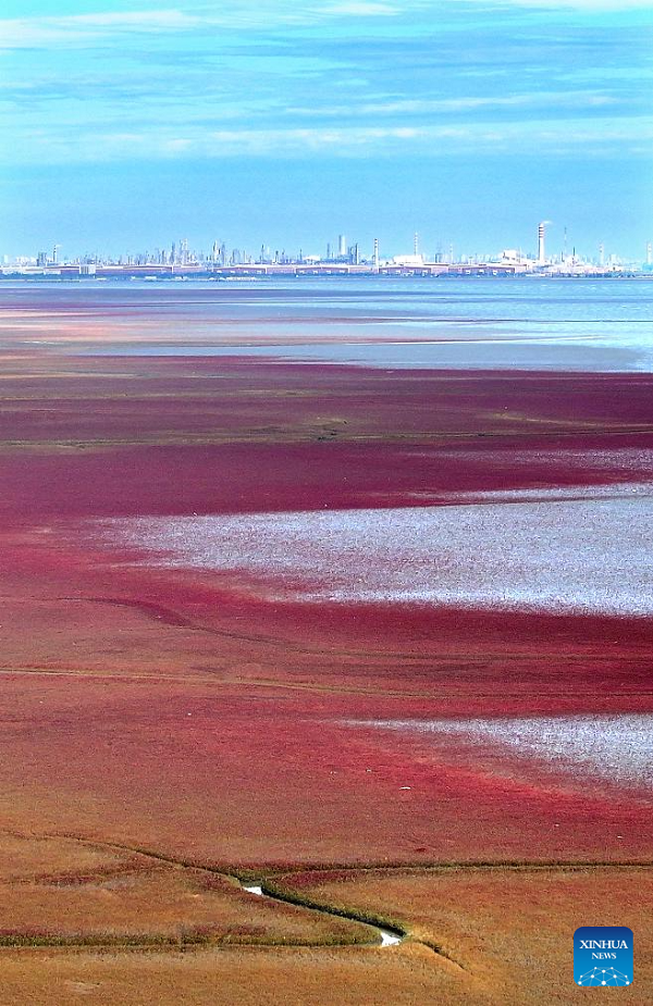 View of Red Beach scenic area in China's Liaoning