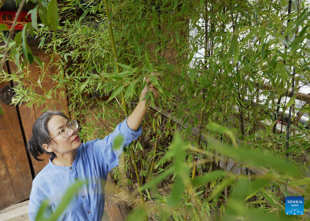 Pic story: inheritor of cloth printing and dyeing techniques in Luoyang, C China