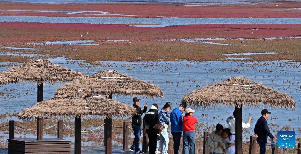 View of Red Beach scenic area in China's Liaoning