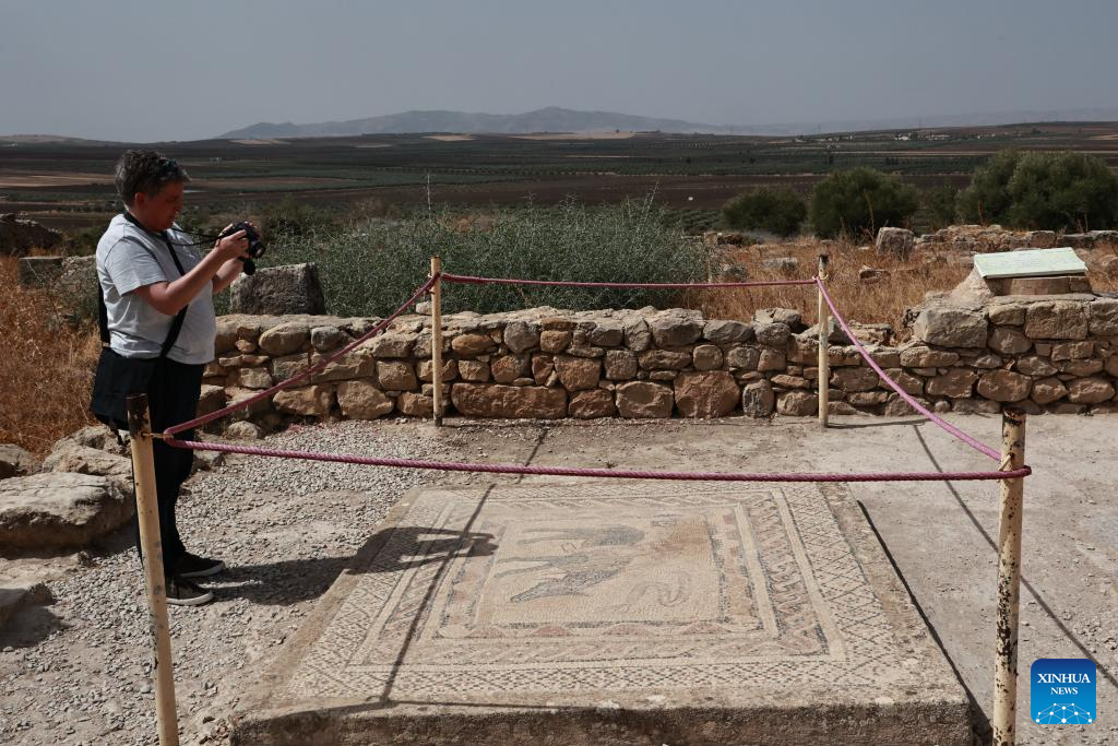 View of ruins of Volubilis in Morocco