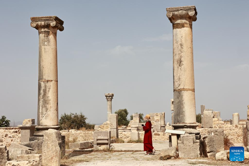 View of ruins of Volubilis in Morocco