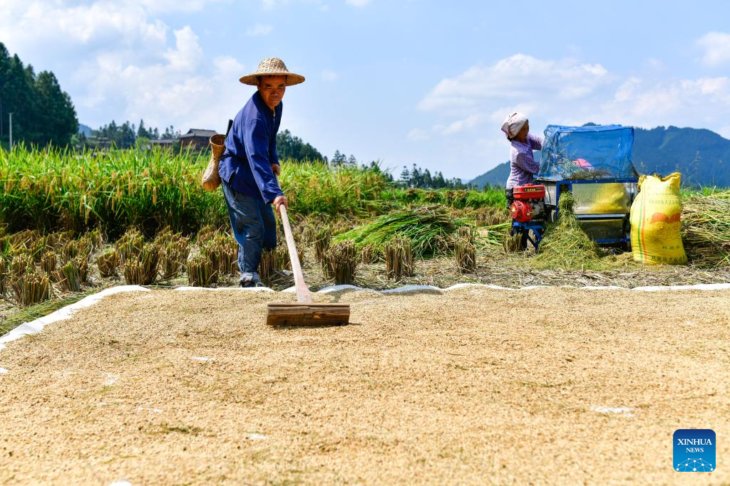 Local dedicated to searching and protecting old varieties of crops in SW China