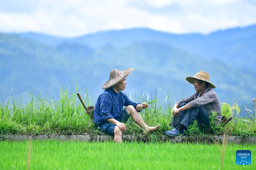 Local dedicated to searching and protecting old varieties of crops in SW China