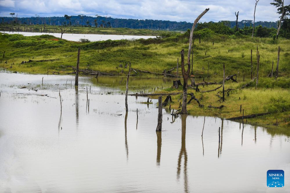 In pics: reservoir area of Deng Deng National Park in E Cameroon