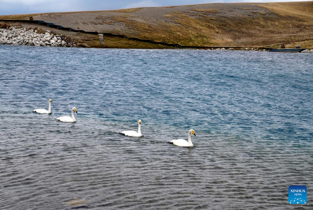 Scenery of Sayram Lake in Xinjiang