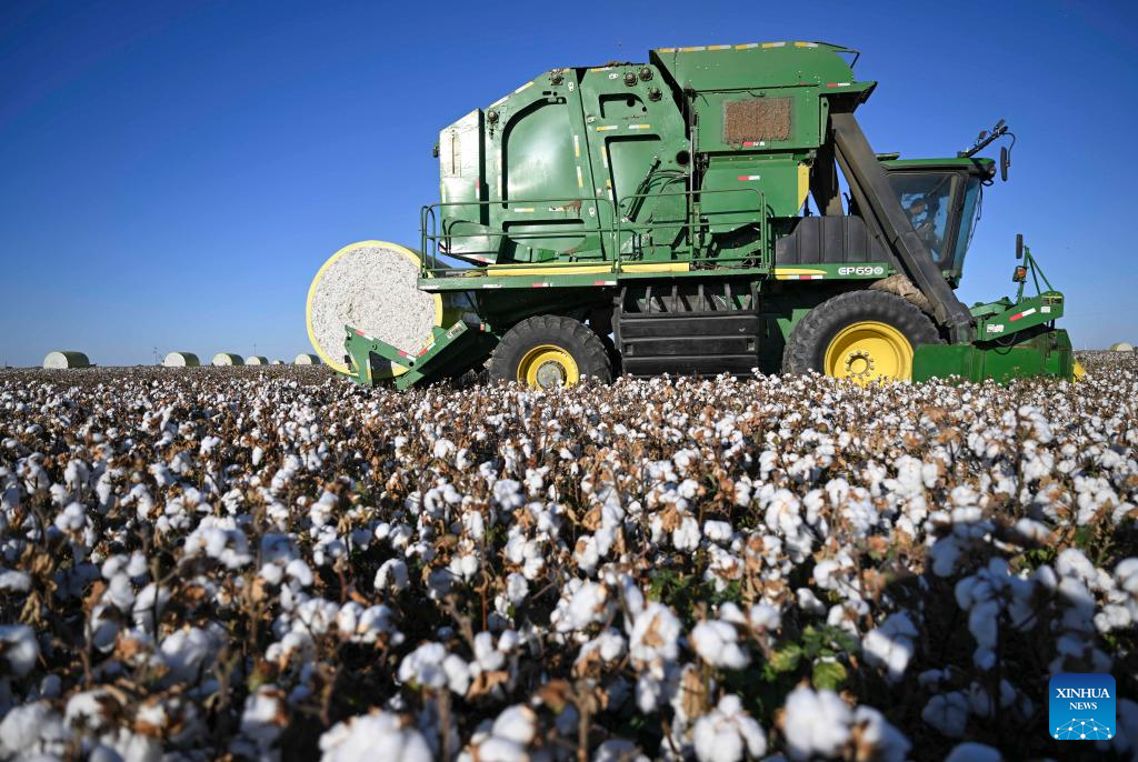 Cotton harvest season starts in Xinjiang