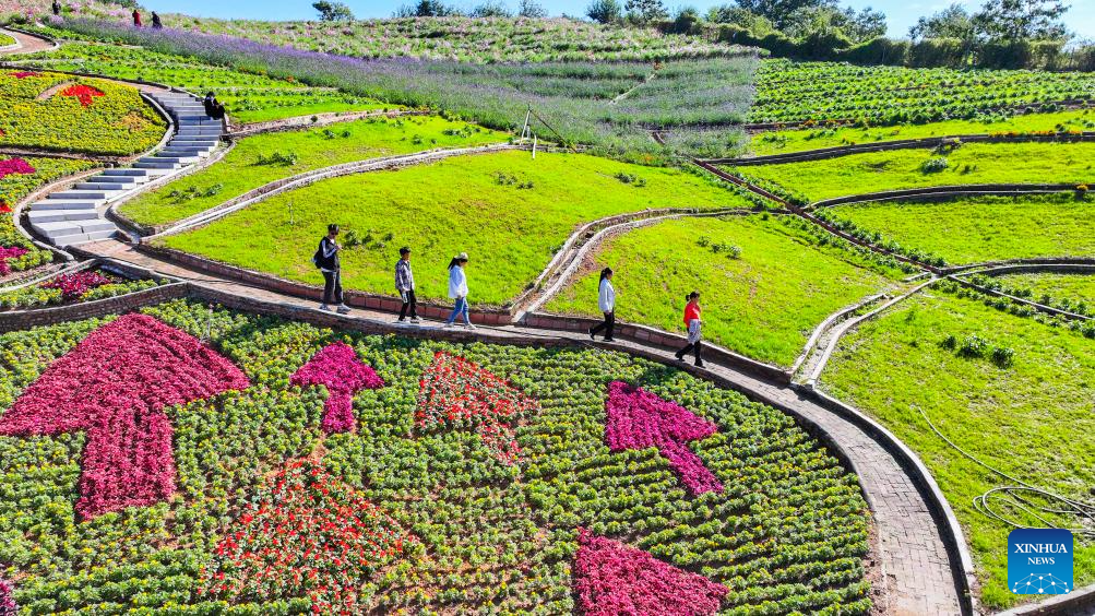 China saw 765 million domestic tourist trips during 7-day holiday