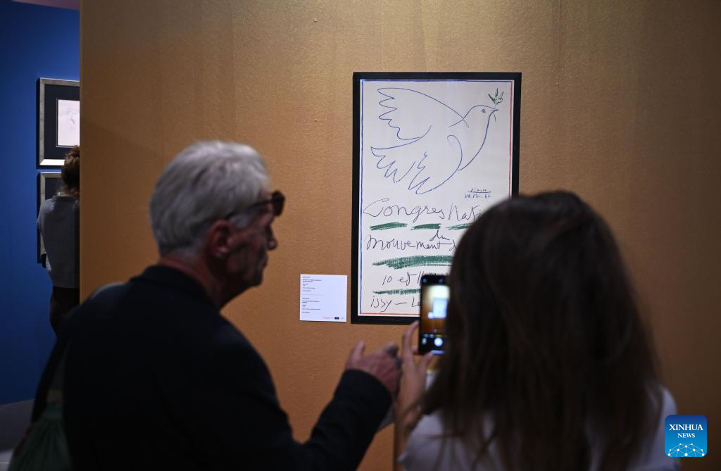 Exhibition showcasing artworks by Picasso held in Istanbul