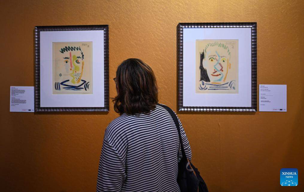 Exhibition showcasing artworks by Picasso held in Istanbul