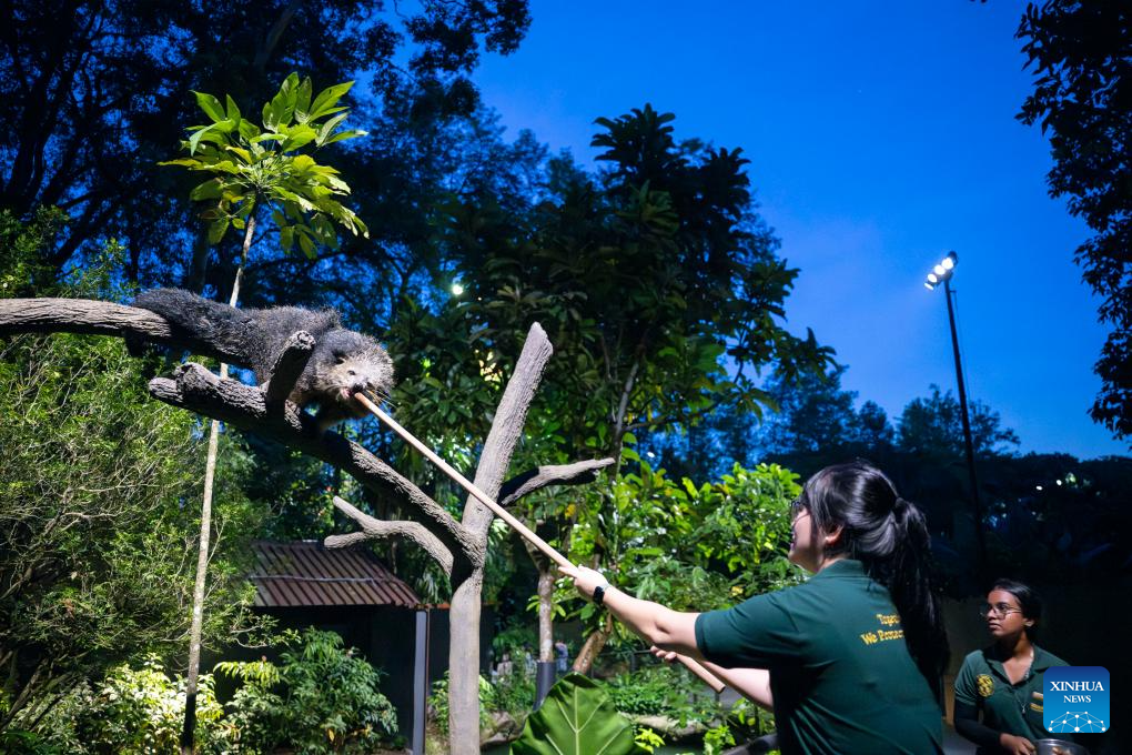 Animals seen in Singapore's Night Safari