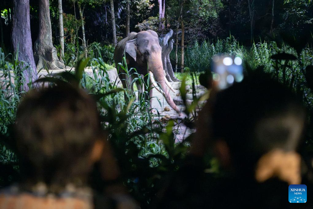 Animals seen in Singapore's Night Safari