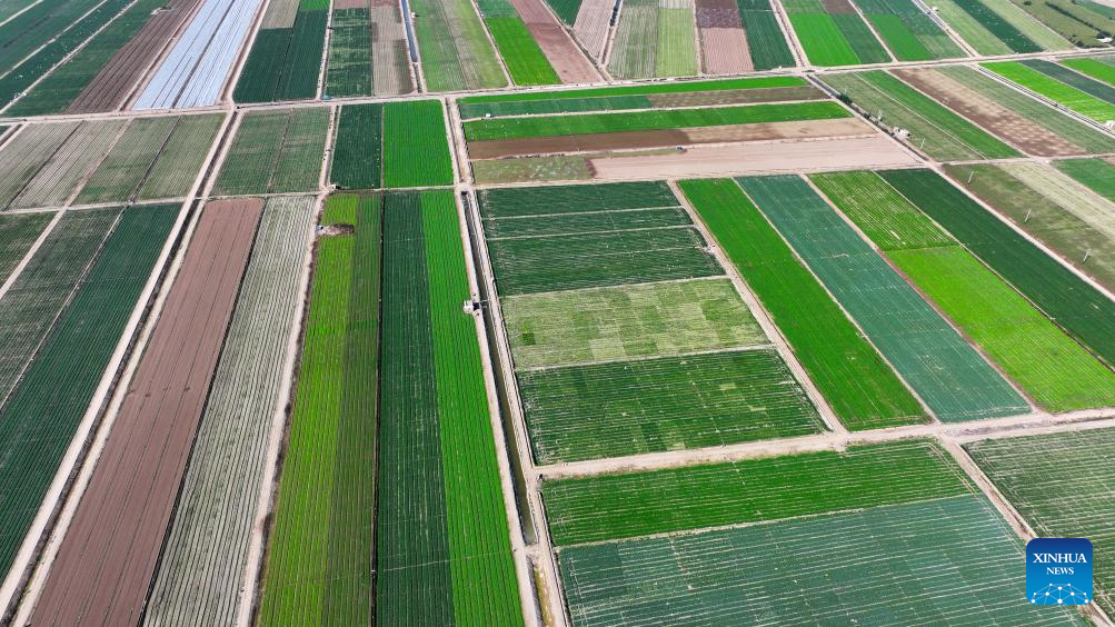 Aerial view of farms in Ningxia, NW China