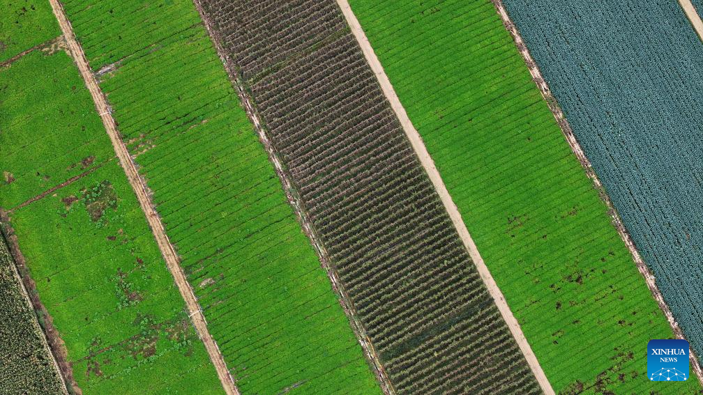 Aerial view of farms in Ningxia, NW China