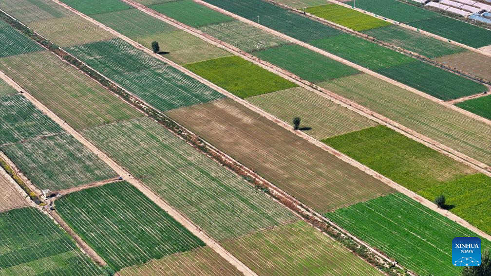 Aerial view of farms in Ningxia, NW China