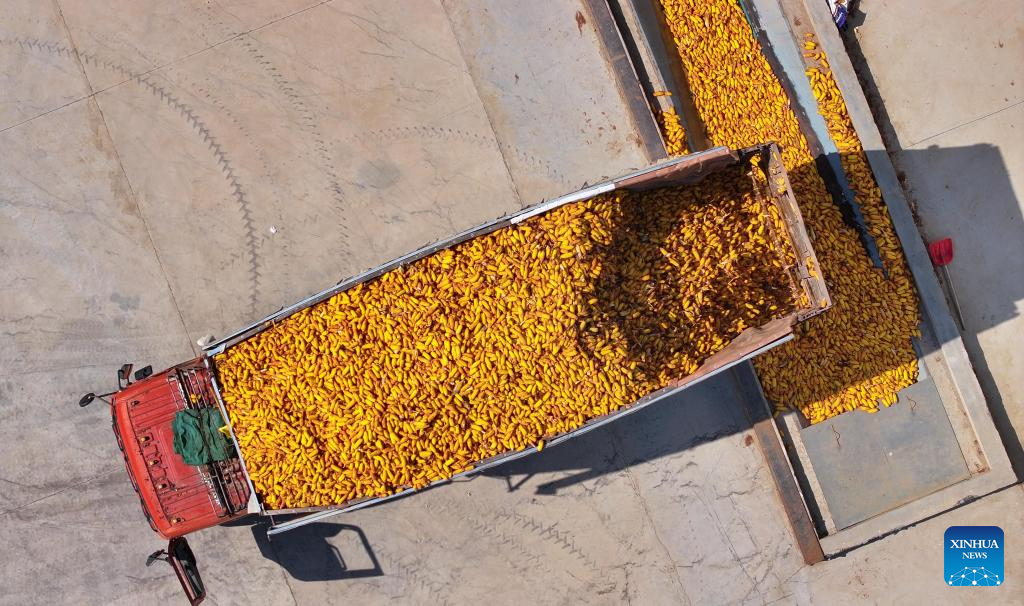 Aerial view of farms in Ningxia, NW China