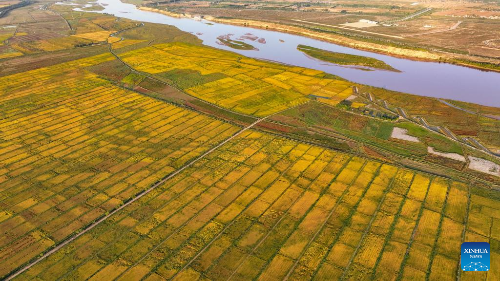 Aerial view of farms in Ningxia, NW China