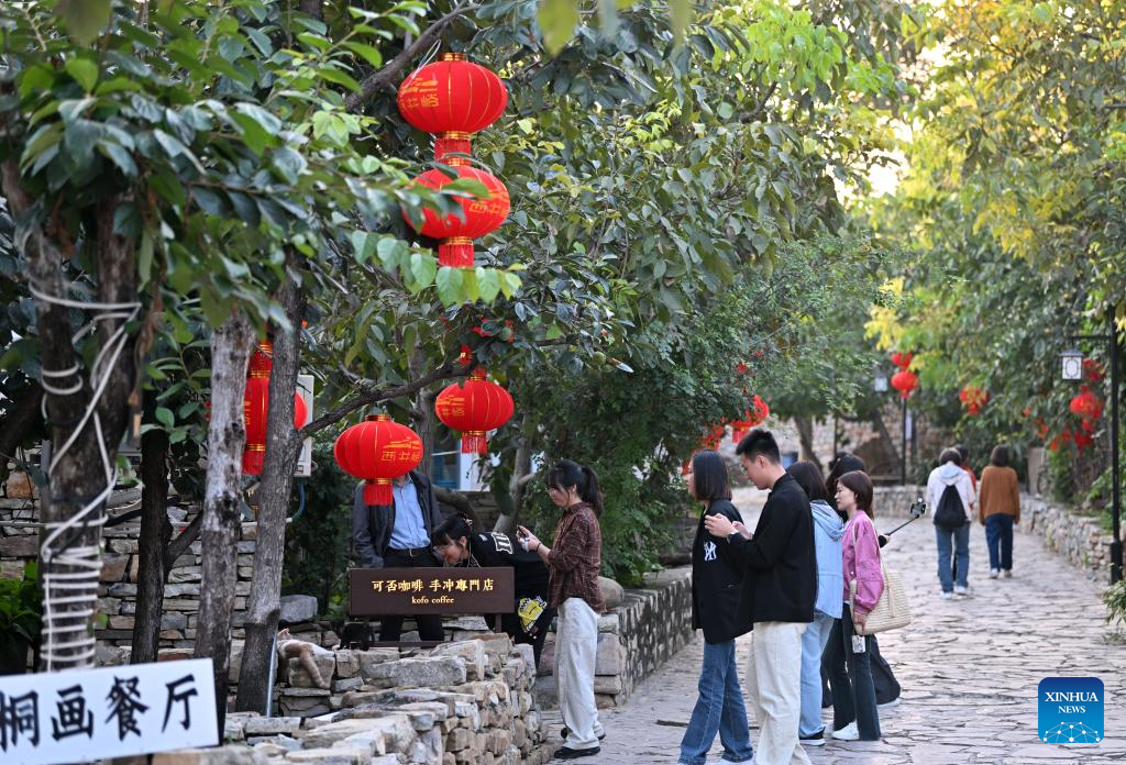 Homestay business drives rural tourism in N China's village