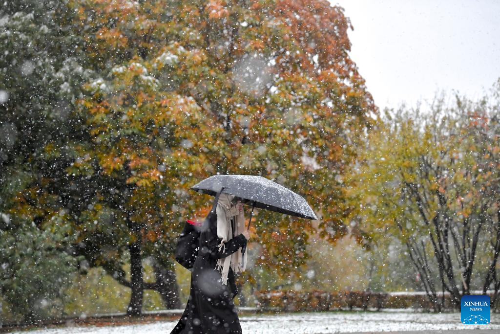 In pics: snowfall in Moscow