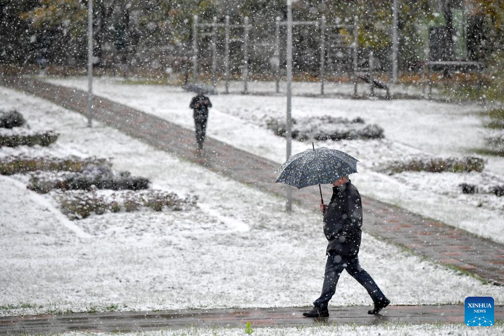 In pics: snowfall in Moscow