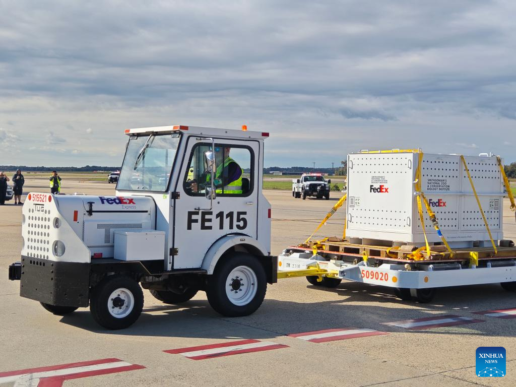 Two giant pandas from China arrive in Washington, D.C.