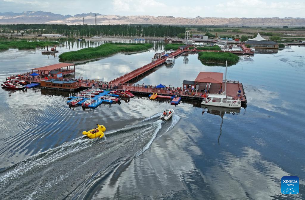 Integrated ecological efforts assist green development in China's western region