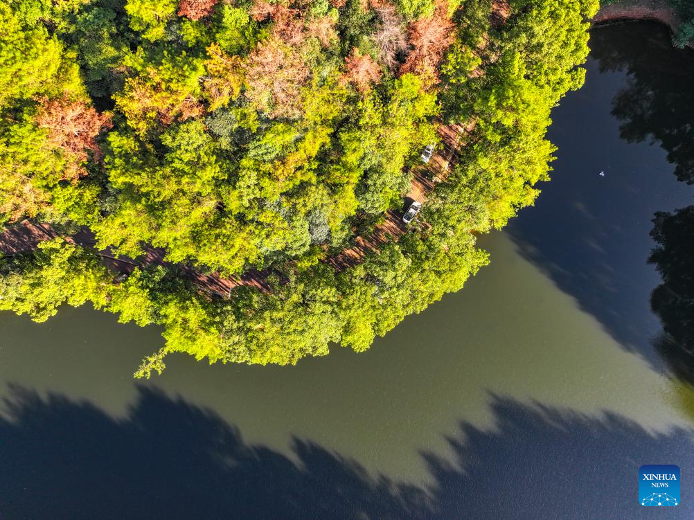 View of national nature reserve of Jinyun Mountain in Chongqing, SW China