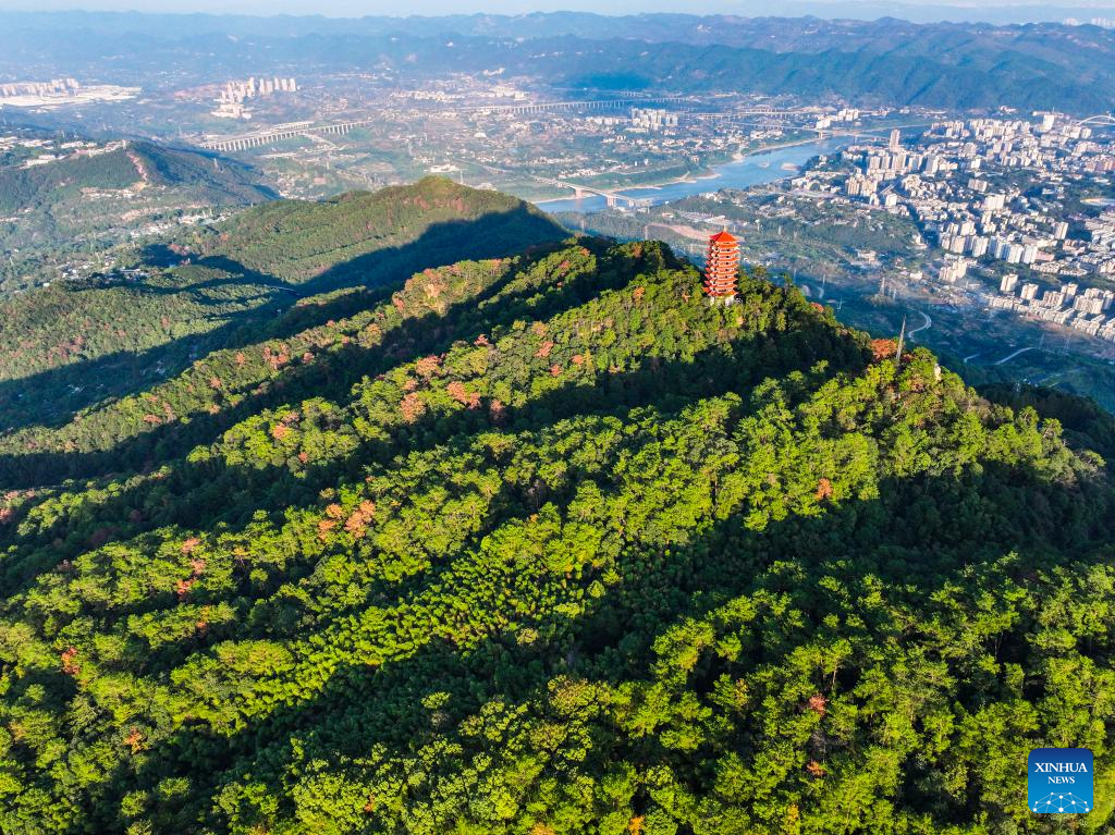 View of national nature reserve of Jinyun Mountain in Chongqing, SW China