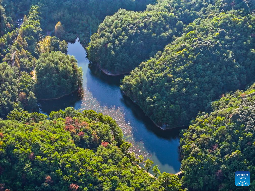 View of national nature reserve of Jinyun Mountain in Chongqing, SW China