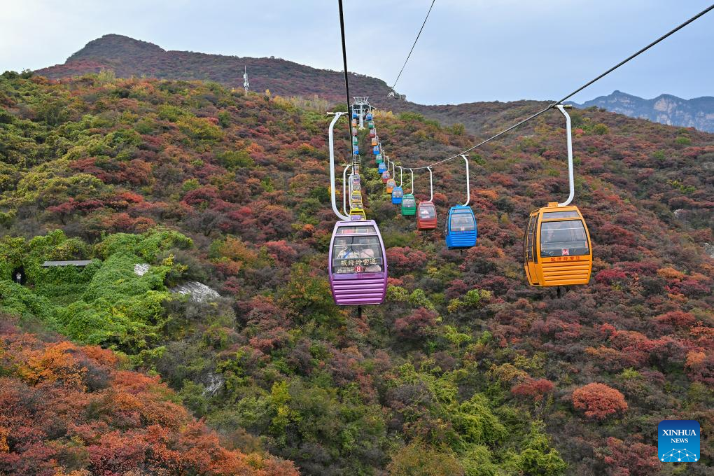 Autumn scenery in Beijing