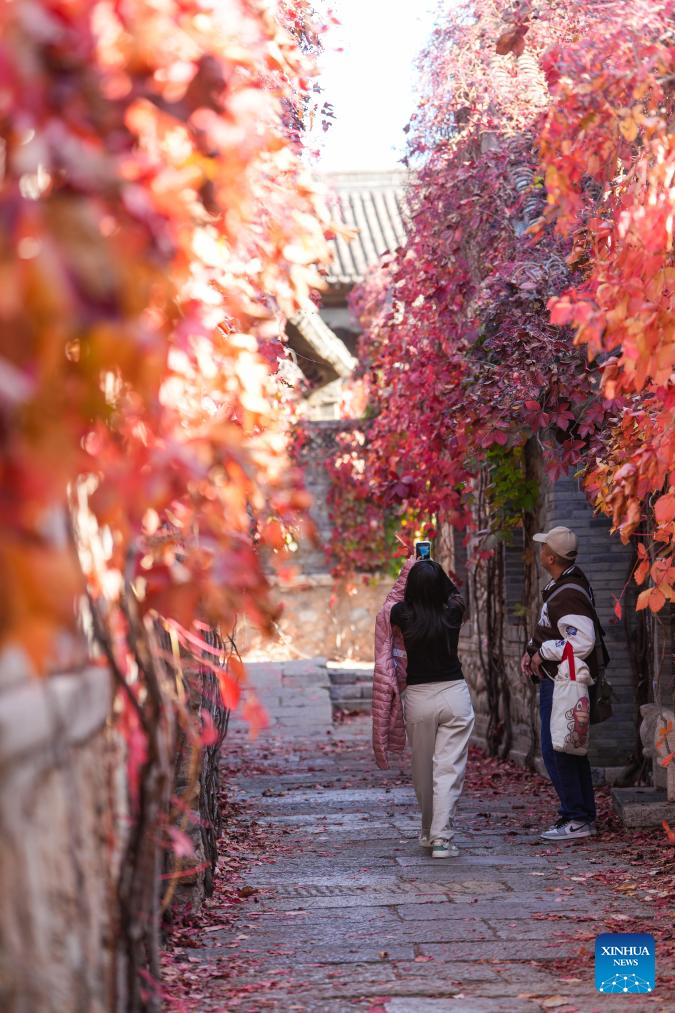 Autumn scenery in Beijing