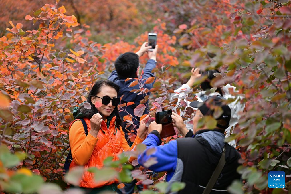 Autumn scenery in Beijing