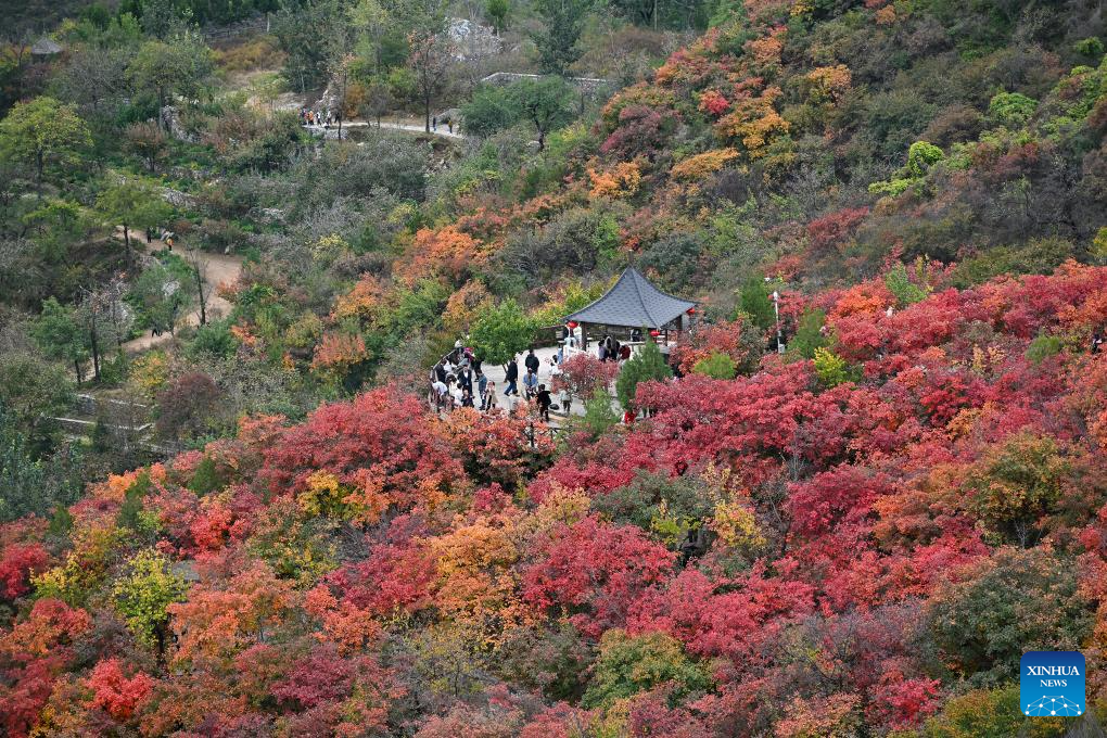 Autumn scenery in Beijing