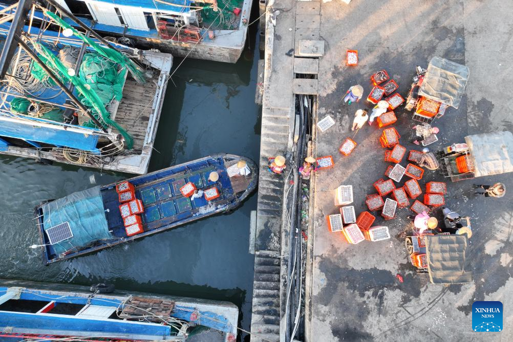 Fishermen busy unloading, processing seafood in harvest season in S China