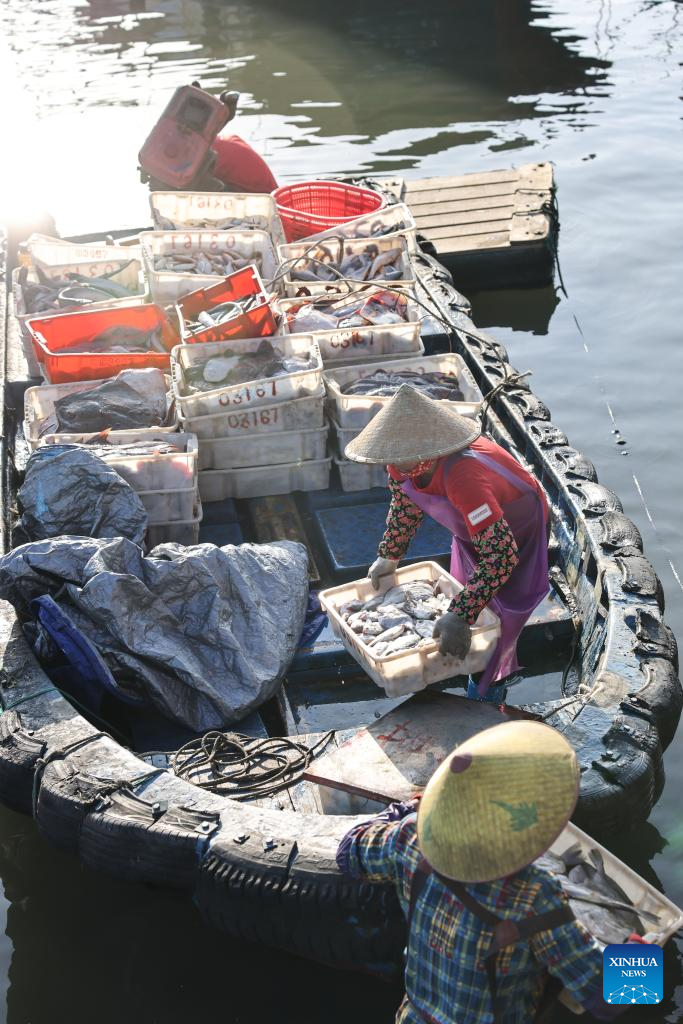 Fishermen busy unloading, processing seafood in harvest season in S China