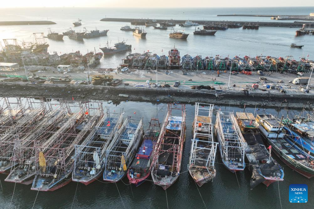 Fishermen busy unloading, processing seafood in harvest season in S China