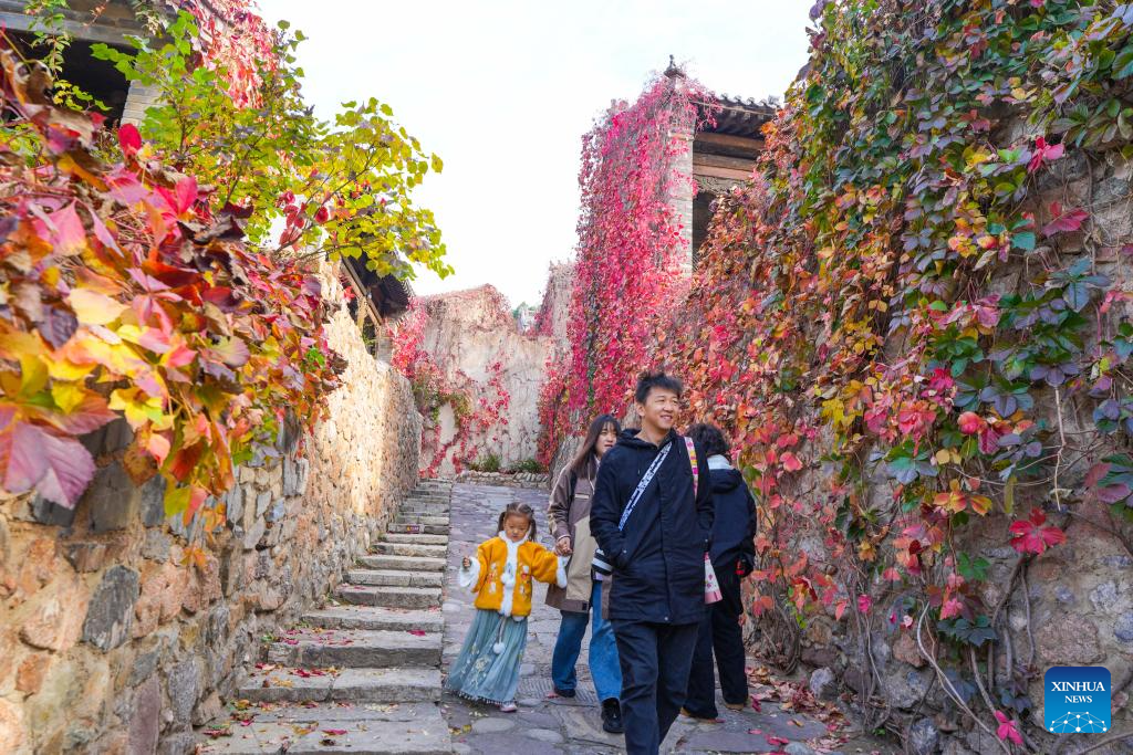 Autumn scenery in Beijing