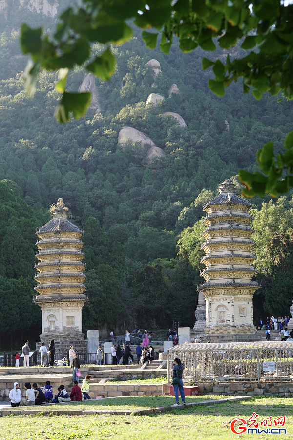 Autumn scenery of Yinshan Pagoda Forest