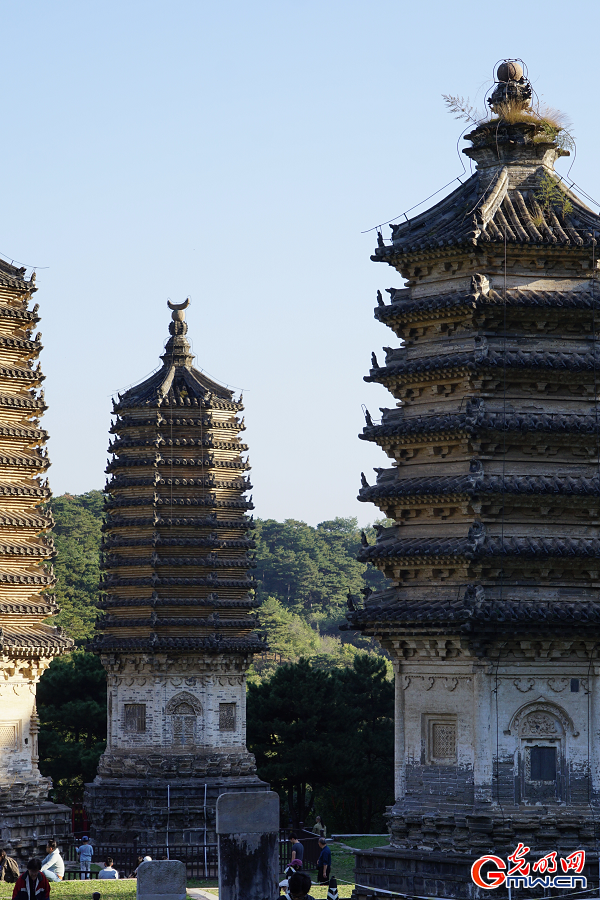 Autumn scenery of Yinshan Pagoda Forest