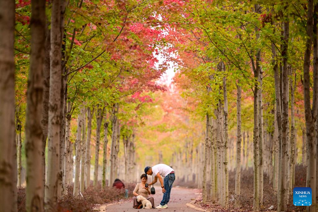 Autumn scenery across China