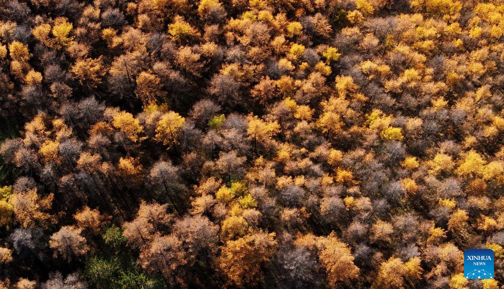 Autumn scenery across China