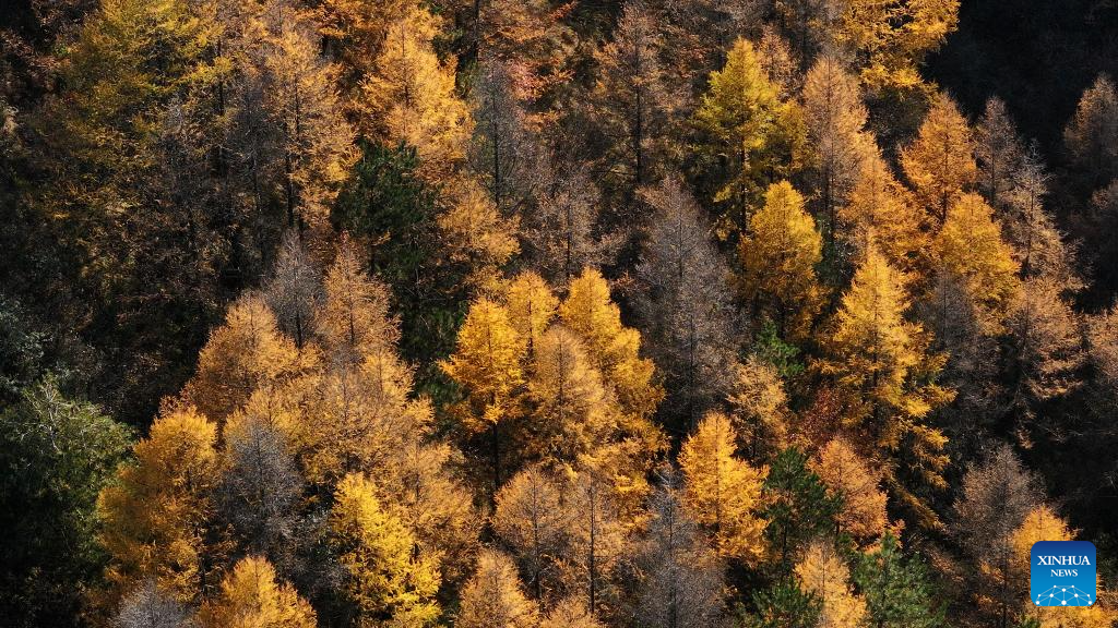 Autumn scenery across China