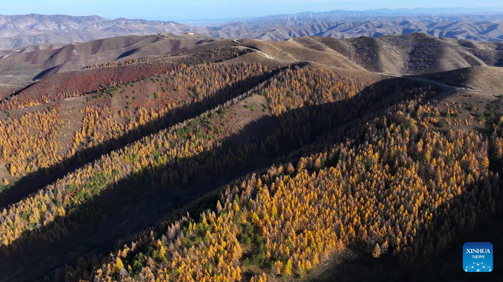 Autumn scenery across China