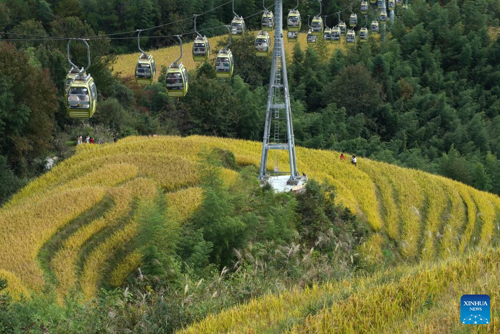 Scenery of Longji Rice Terraces in S China's Guangxi