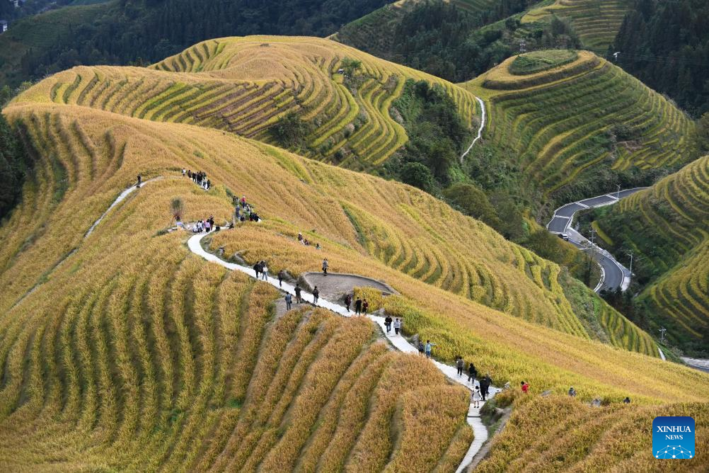 Scenery of Longji Rice Terraces in S China's Guangxi