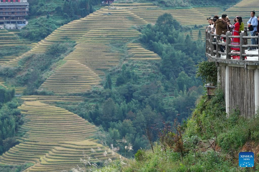 Scenery of Longji Rice Terraces in S China's Guangxi