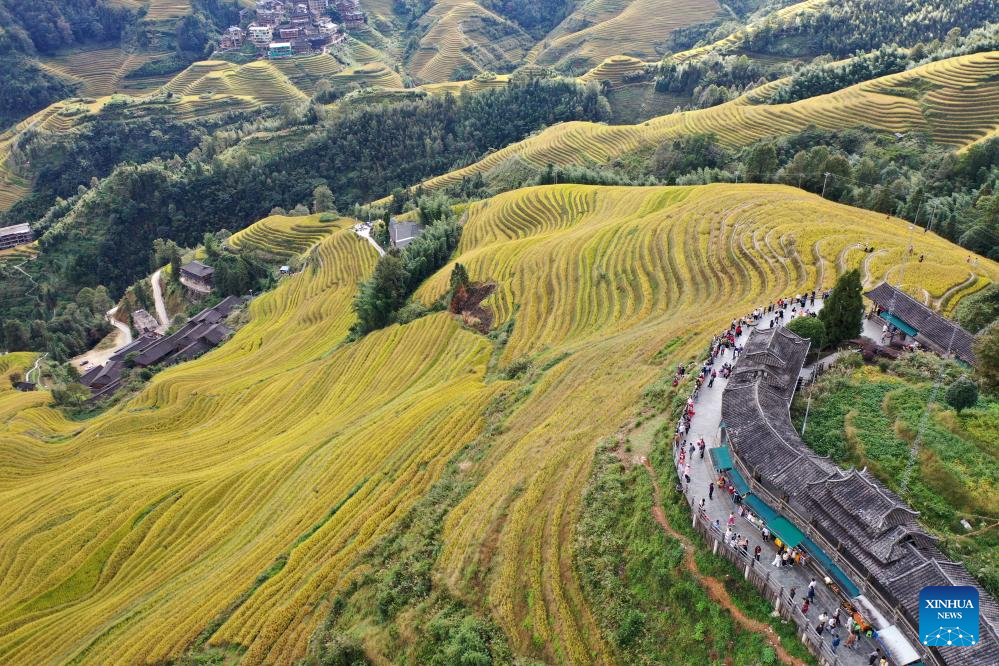 Scenery of Longji Rice Terraces in S China's Guangxi