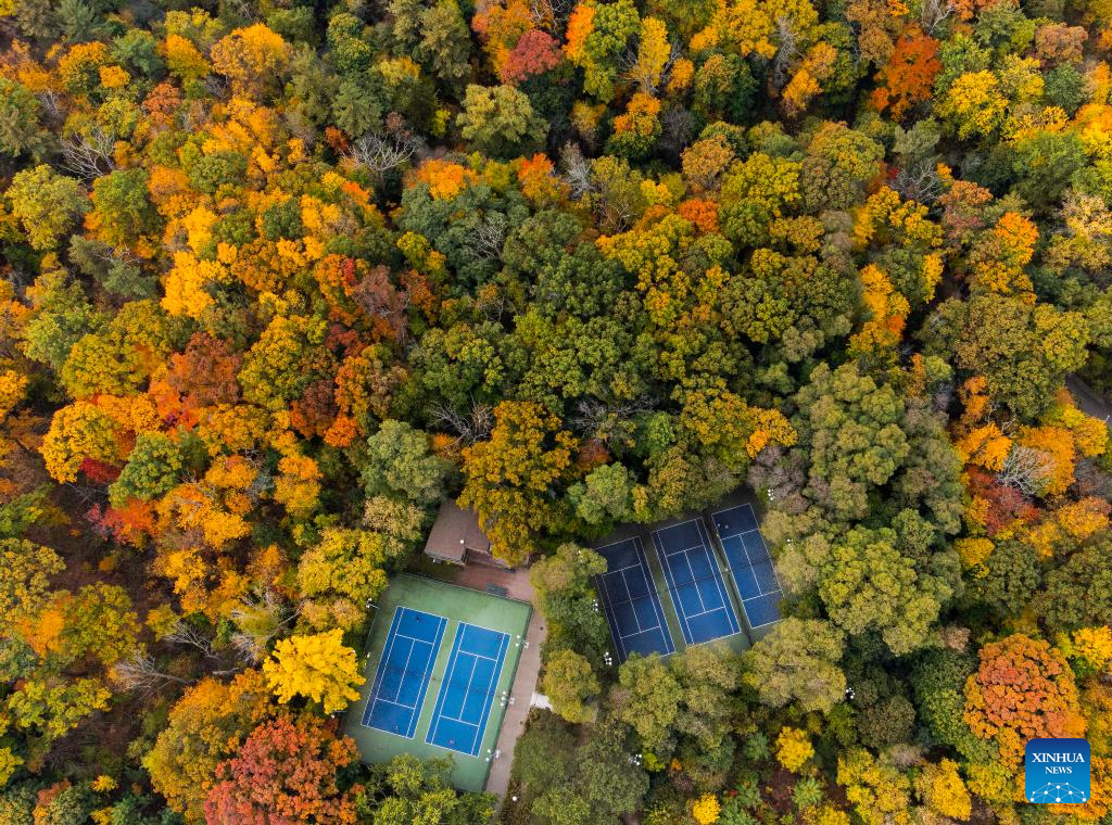 Autumn scenery in Canada