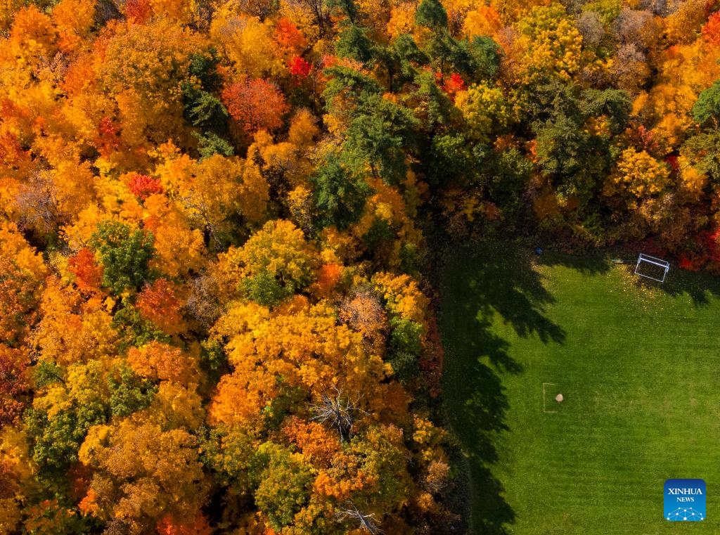 Autumn scenery in Canada